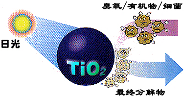 &#38886;&#24503;&#32593;&#31449;&#45;&#40;&#20013;&#22269;&#41;&#26377;&#38480;&#36131;&#20219;&#38886;&#24503;&#32593;&#31449;