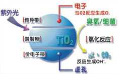 &#38886;&#24503;&#32593;&#31449;&#45;&#40;&#20013;&#22269;&#41;&#26377;&#38480;&#36131;&#20219;&#38886;&#24503;&#32593;&#31449;
